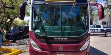 Renuevan transporte público de Cancún