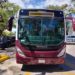 Renuevan transporte público de Cancún