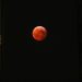 Cancún listo para observar la ‘Luna de Sangre’