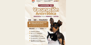 Campaña de Vacunación Antirrábica del 22 al 29 de marzo en Cancún