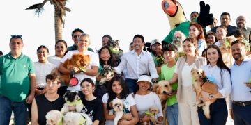 Q. Roo analiza la “Ley Vito” para fortalecer el bienestar animal