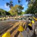 Realiza la CFE trabajos preventivos