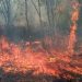 Conagua advierte condiciones críticas para incendios forestales