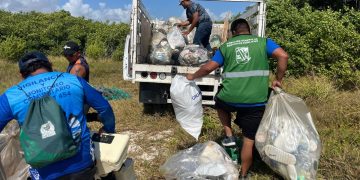 Jornada de limpieza en playa Petempich