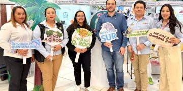 IMSS Quintana Roo suma 123 especialistas tras draft 2026