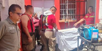 Perros ferales atacan a venado; logran salvarlo a tiempo