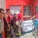 Perros ferales atacan a venado; logran salvarlo a tiempo