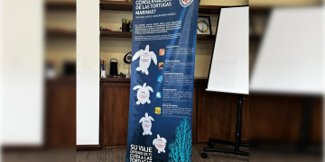 Protegen nidos en el Caribe