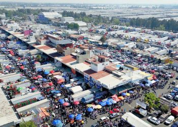 ¿Cuál es el mercado La Nueva Viga? Que comercializa Pescando Vida de Tabasco