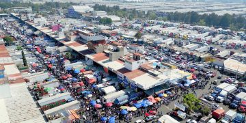 ¿Cuál es el mercado La Nueva Viga? Que comercializa Pescando Vida de Tabasco
