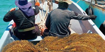 Retiran más de 28 mil toneladas de sargazo en Quintana Roo
