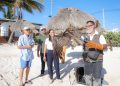 Liberan águila pescadora rescatada en Cancún