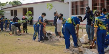 Siembran tres mil árboles