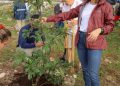 Ana Paty Peralta impulsa reforestación urbana en Cancún