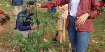 Ana Paty Peralta impulsa reforestación urbana en Cancún