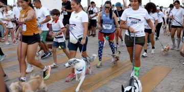 Realizan primera carrera “Corriendo por el Bienestar Animal”