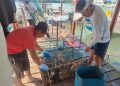 Blindan temporada de la veda local con apoyos