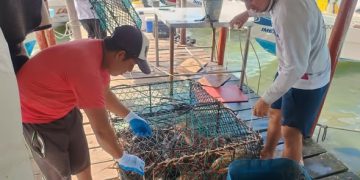 Blindan temporada de la veda local con apoyos