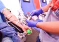 Donar sangre salva a niños: Fundación RCD