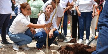 Renuevan el parque Adolfo ‘Rojo’ González con recursos del Presupuesto Participativo en Cancún