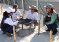 Refrendan compromiso con la protección de tortugas marinas en Cancún