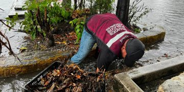 Cancún despliega operativo por lluvias para evitar inundaciones