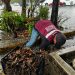 Cancún despliega operativo por lluvias para evitar inundaciones