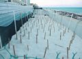 Refuerzan vigilancia para proteger nidos de tortugas marinas en playas de Cancún