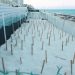 Refuerzan vigilancia para proteger nidos de tortugas marinas en playas de Cancún