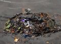 Retiran 97 toneladas de basura de un predio en la SM 200 de Cancún