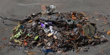 Retiran 97 toneladas de basura de un predio en la SM 200 de Cancún