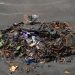 Retiran 97 toneladas de basura de un predio en la SM 200 de Cancún