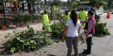 Refuerzan limpieza, desazolve y descacharrización en Cancún