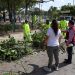 Refuerzan limpieza, desazolve y descacharrización en Cancún
