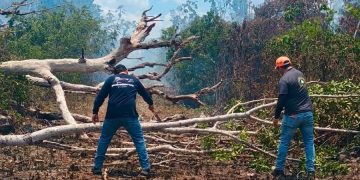Brigadistas contienen incendio forestal en la colonia Chiapaneca