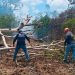 Brigadistas contienen incendio forestal en la colonia Chiapaneca