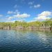 Cancún se suma a la Jornada Nacional de Reforestación 2026