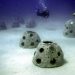 Avalan cementerio submarino frente a Cancún
