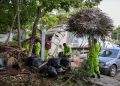 Refuerzan limpieza y mantenimiento de espacios públicos en Cancún