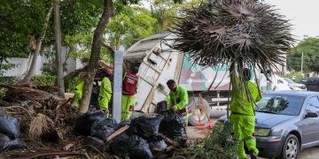 Refuerzan limpieza y mantenimiento de espacios públicos en Cancún