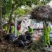 Refuerzan limpieza y mantenimiento de espacios públicos en Cancún