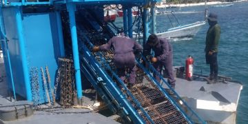 Mantienen en operación las sargaceras para contener el sargazo en costas de Quintana Roo