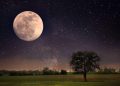Fenómenos astronómicos de septiembre: Luna de Cosecha, Venus y ocultaciones planetarias