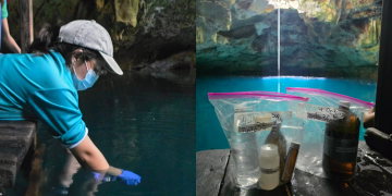 Revisan la salud de los cenotes