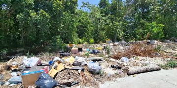 Refuerzan limpieza y mantenimiento en distintos puntos de Cancún