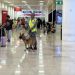 Registra el Aeropuerto de Cancún 360 vuelos programados para la jornada