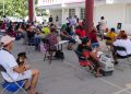 Realizan 150 esterilizaciones gratuitas a mascotas en Cancún