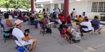 Realizan 150 esterilizaciones gratuitas a mascotas en Cancún