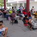 Realizan 150 esterilizaciones gratuitas a mascotas en Cancún