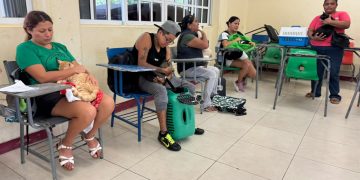 Realizan 200 esterilizaciones de perros y gatos en la Supermanzana 259